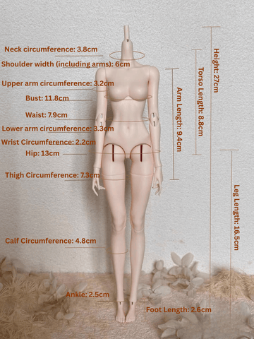 27cm bjd body