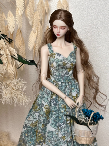 27cm bjd