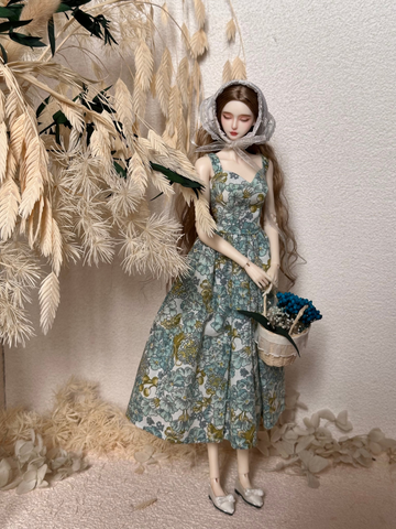 1/6 bjd girl